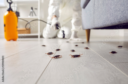 Canvas Print Pest control exterminating roaches inside the house