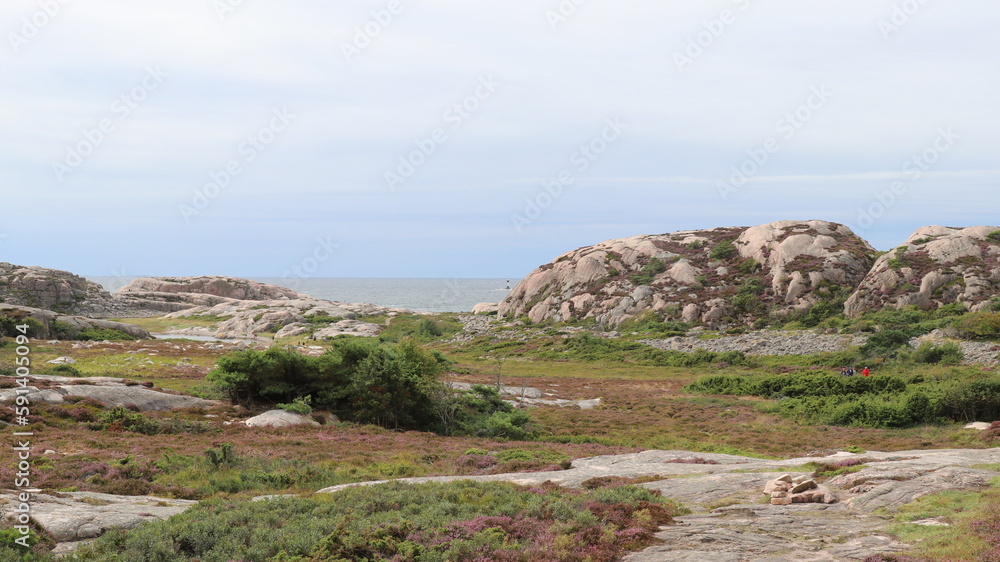 réserve naturelle de Tjurpannans sur la côte suédoise