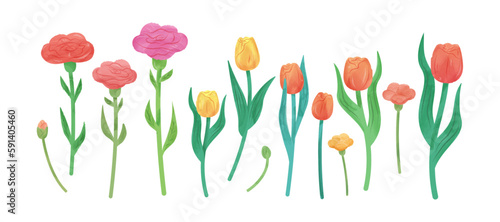 Watercolor flower set