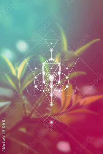 Flower of life. Tree of life. Sacred geometry spiritual new age futuristic illustration with transmutation interlocking circles, triangles and glowing particles
