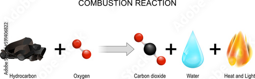 Combustion reaction