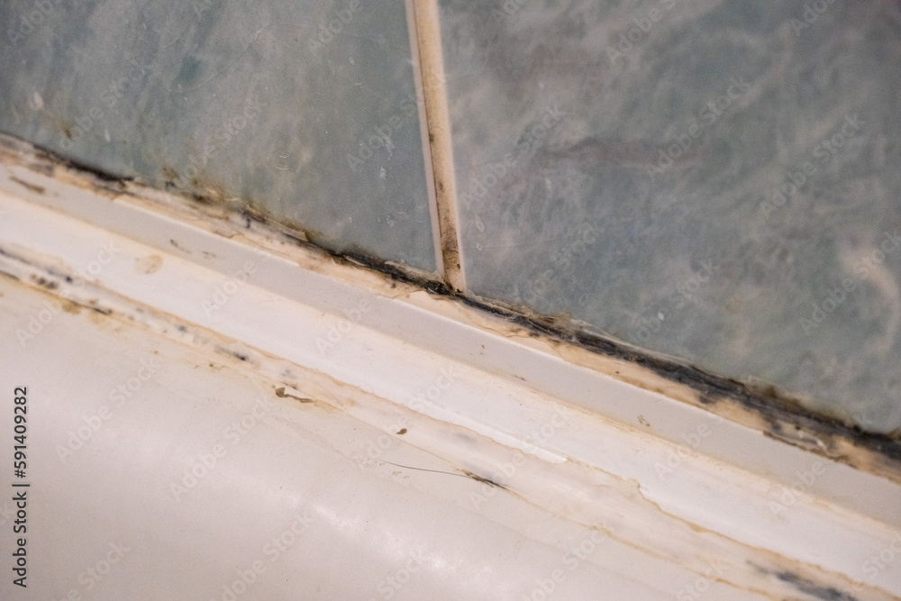 Mold on the wall in the bathroom. Humidity in the room. Mold on the wall in the bathroom. Humidity in the room.