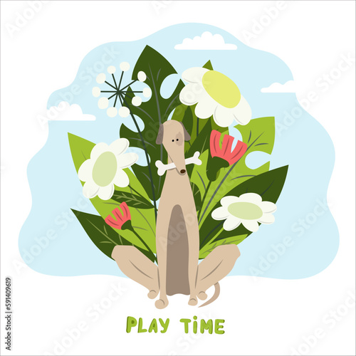 Greyhound dog with a bone in his teeth sits in thickets of wild flowers and the inscription Play time. Card