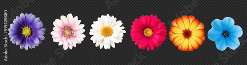 A pack of flowers cut as if from a magazine. Isolated plants. Vector halftone elements for collage with bright colors emoji. Nature-themed stickers