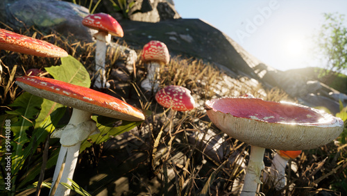 Billede på lærred pots on the ground, pots in the garden, mushroom in the forest, mushrooms in the