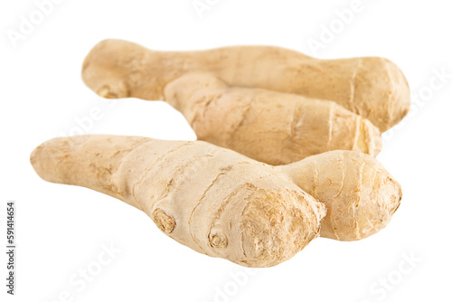 Ginger roots isolated on white background
