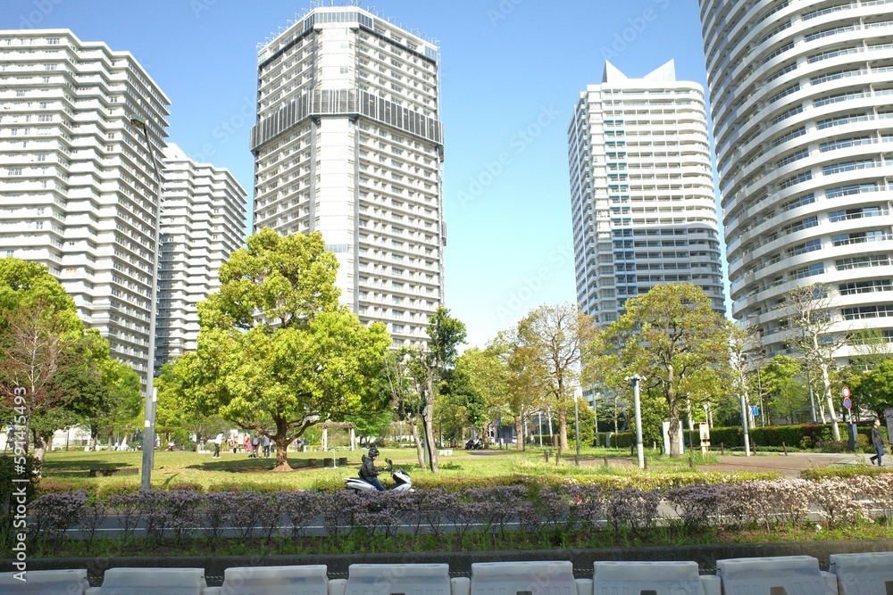 Obraz premium city park