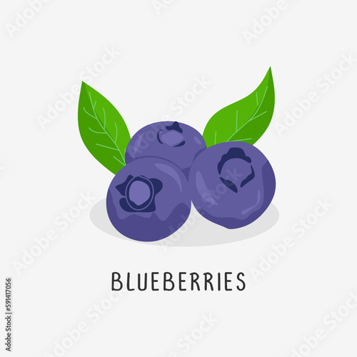 blueberries vector flat ill...