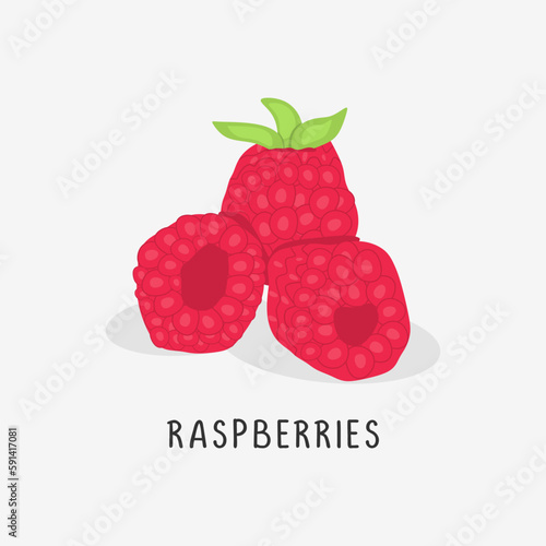 raspberries vector flat ill...
