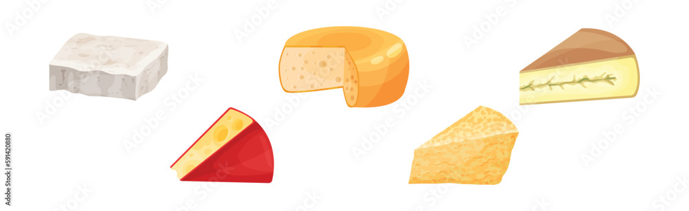 Cheese Slabs as Fresh Milk Food Vector Set Cheese Slabs as Fresh Milk Food Vector Set