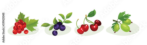 Ripe and Juicy Berries with Green Leaves Vector Set