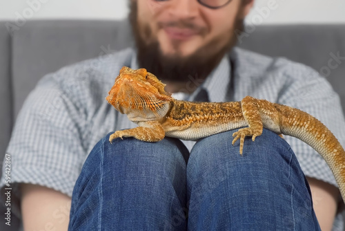 Wallpaper Mural Man with animal bearded agama sitting on sofa at home, lovely pet friend. The friendship of a bearded agama dragon and a man, the maintenance of reptiles at home. Taking care of animal. Torontodigital.ca