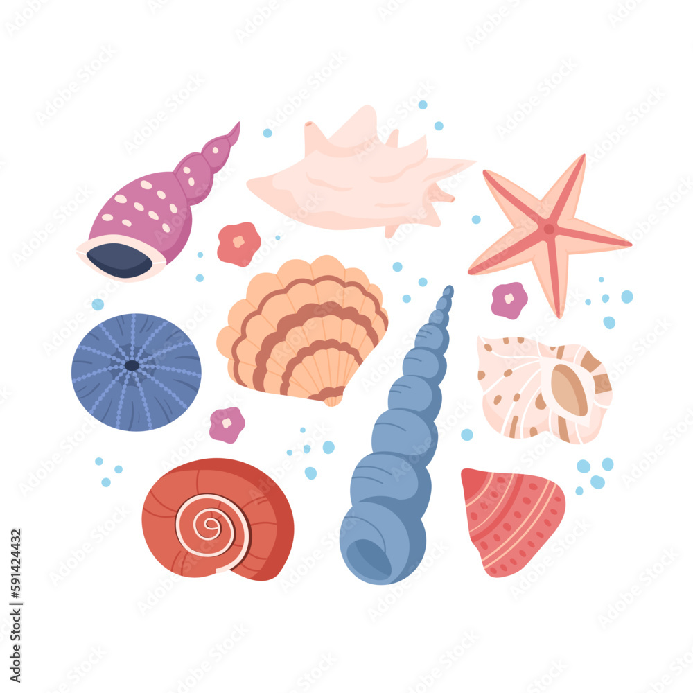 Colorful tropical sea shells mollusks isolated on white background.Underwater shellfish, ocean wildlife. Beach, summer concept. Design print for t shirt. Vector illustration in flat style