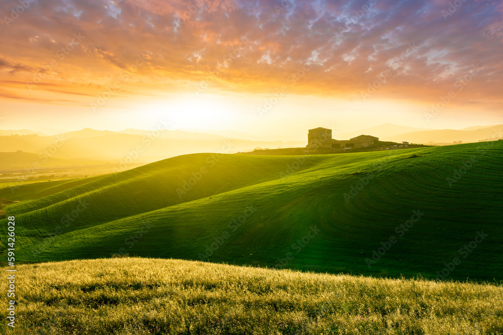 green field in countryside at sunset in the evening light. beautiful spring landscape in the mountains. grassy field and hills. rural scenery green field in countryside at sunset in the evening light. beautiful spring landscape in the mountains. grassy field and hills. rural scenery