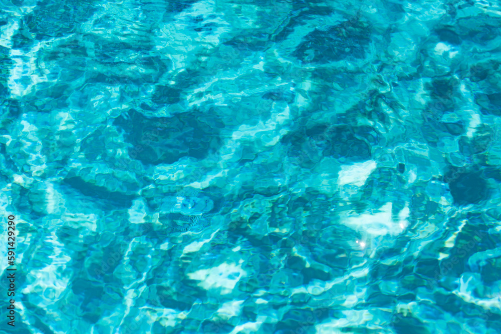 Fototapeta premium Background of water, surface blue swimming pool.