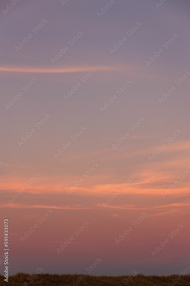 Vertical shot of the pink sky and clouds over a field in the evening on a quiet day
