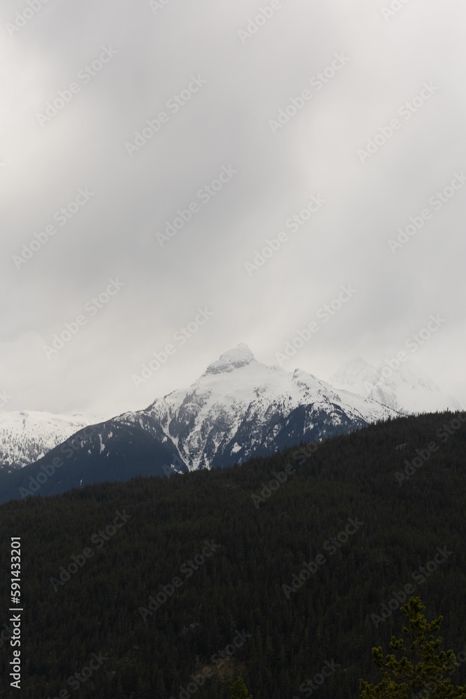 Vertical shot of a snowy mountain on a cloudy day