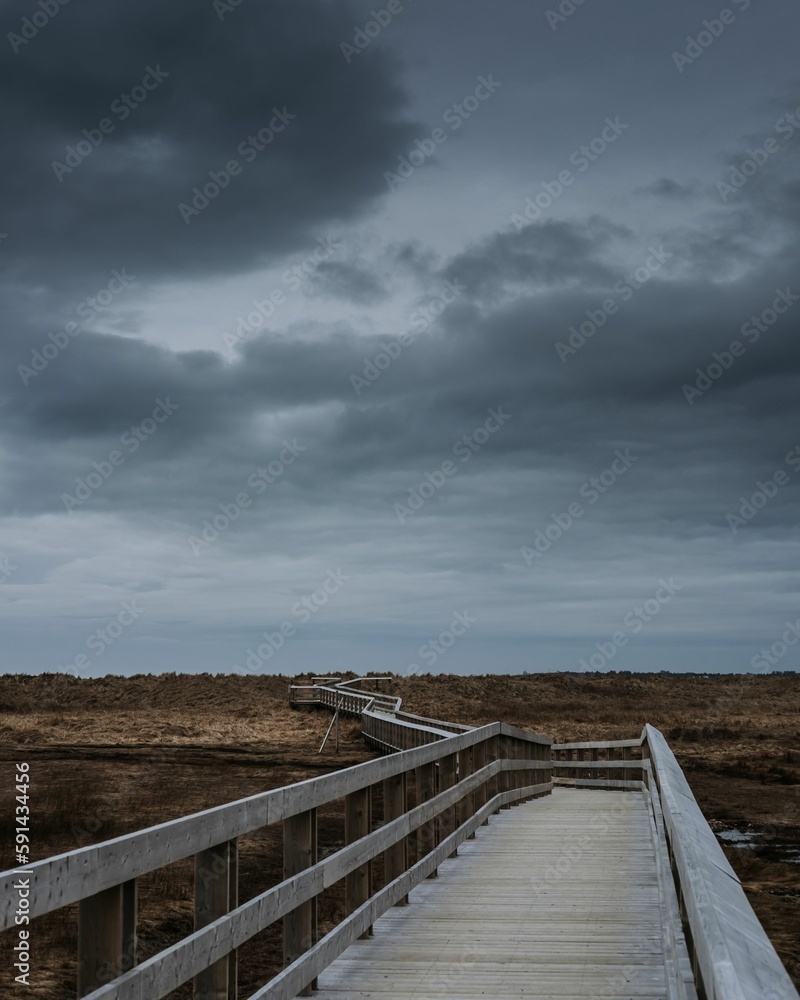 Vertical shot of a wooden footpath and a bridge through the hill in a cloudy weather