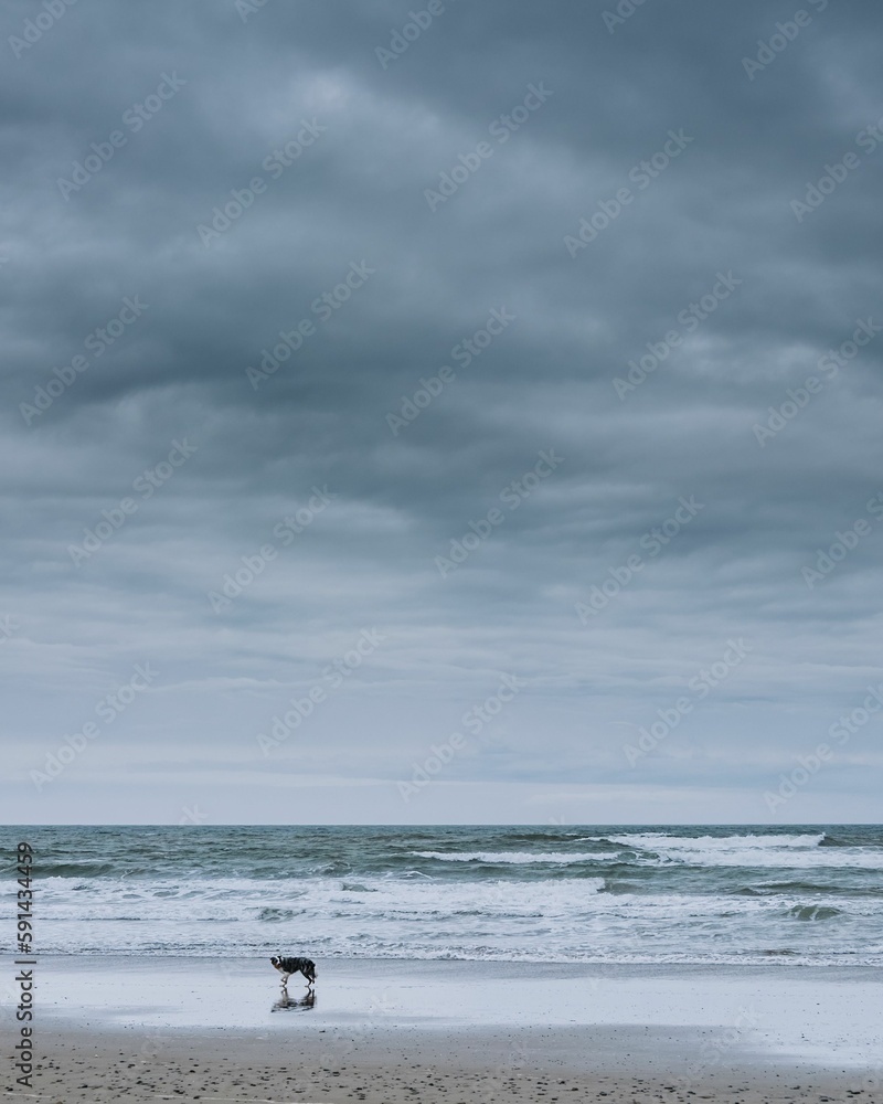 Vertical shot of wavy ocean washing over the sandy beach in cloudy weather