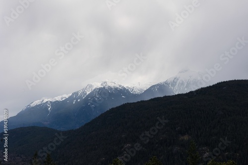 the white mountains covered in snow on a cloudy day over trees