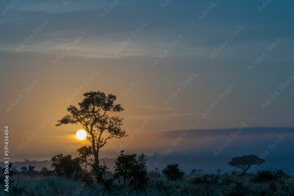 Beautiful meadow at sunset with a cloudy blue sky in the background, perfect for wallpapers