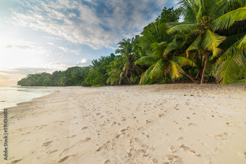 Coconut palm trees and white sand at sunset in Praslin island