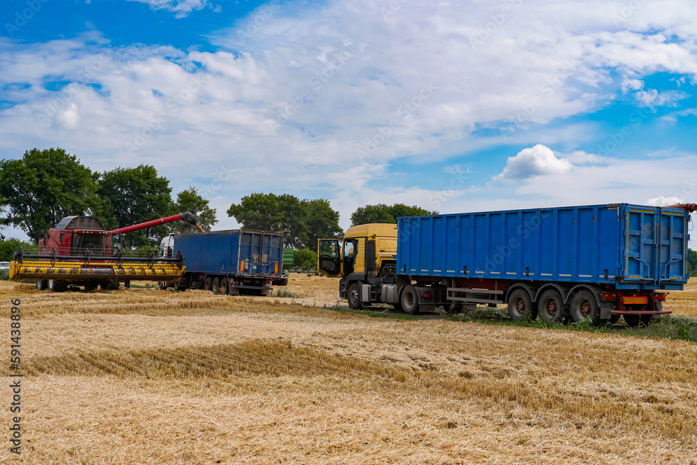 Combine farm landscapes. Harvesting wheat in the field. Combine farm landscapes. Harvesting wheat in the field.