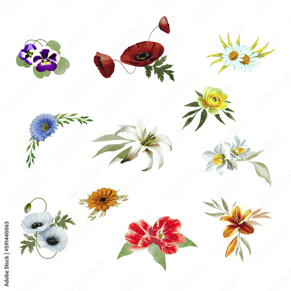 Flowers isolated on a white background Flowers isolated on a white background