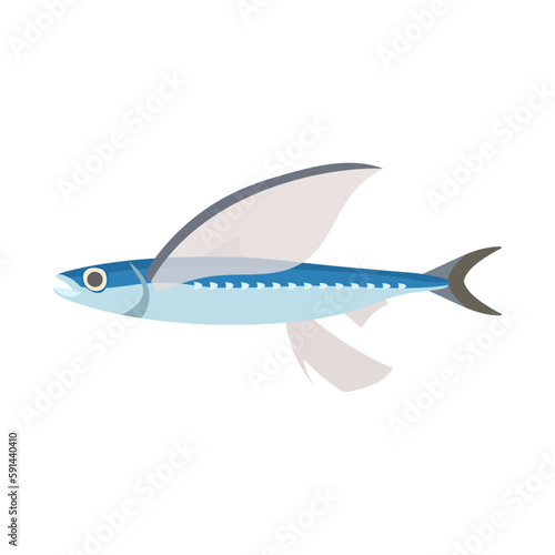 トビウオ。フラットなベクターイラスト。
Flying fish. Flat designed vector illustration. photo