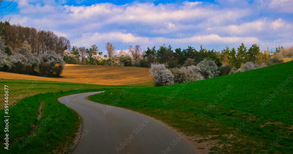 Countryside landscape at spring daylight