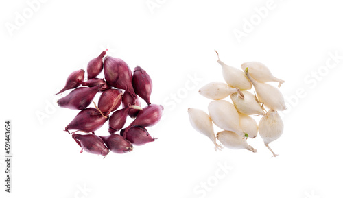 Red and white onion bulbs for vegetable garden, isolated on white background