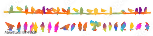 Birds on a wire. Silhouettes of colorful sitting starlings. Birds set . Vector illustration
