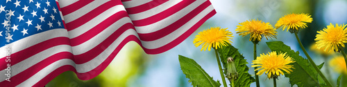  flag of the United States of America waving in the wind and beautiful holiday flowers
