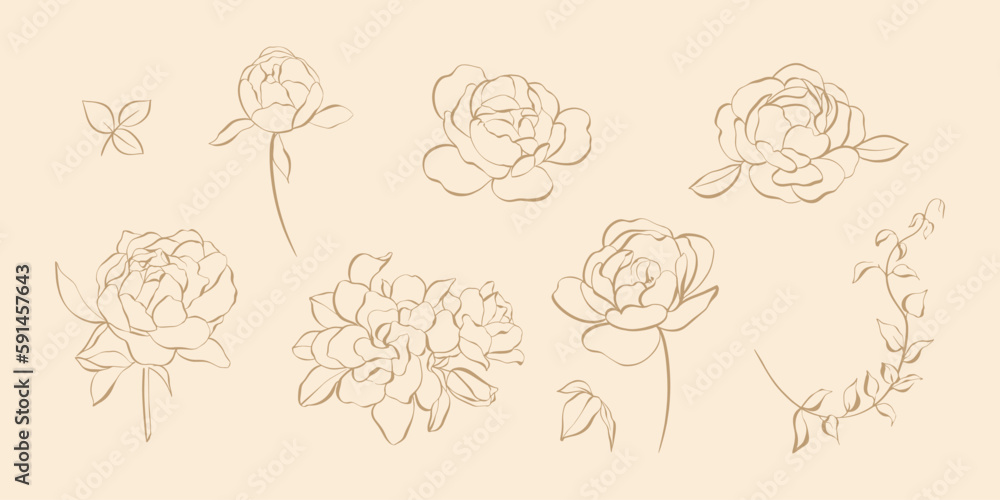 Set of vector floral elements. Hand-drawn line flowers and leaves for an invitation or greeting card. Aesthetic feminine logo set. Set of vector floral elements. Hand-drawn line flowers and leaves for an invitation or greeting card. Aesthetic feminine logo set.