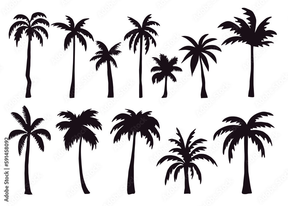 Black palm trees set isolated on white background. Palm silhouettes. Design of palm trees for posters, banners and promotional items. Vector illustration Black palm trees set isolated on white background. Palm silhouettes. Design of palm trees for posters, banners and promotional items. Vector illustration