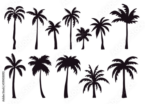 Black palm trees set isolated on white background. Palm silhouettes. Design of palm trees for posters  banners and promotional items. Vector illustration