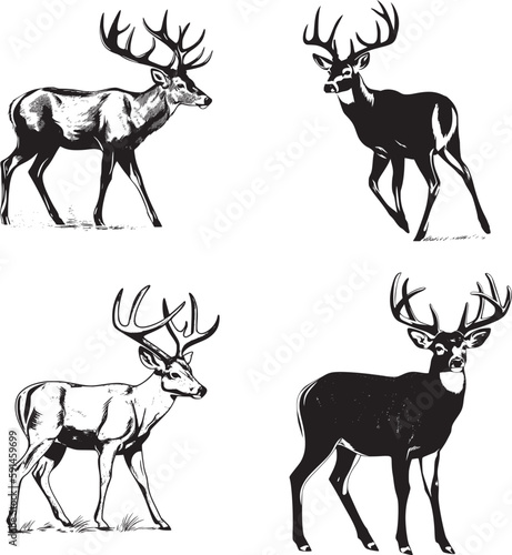 Whitetail Buck, dynamic pose simple graphic, cartoon vector art, sticker, black on white background 