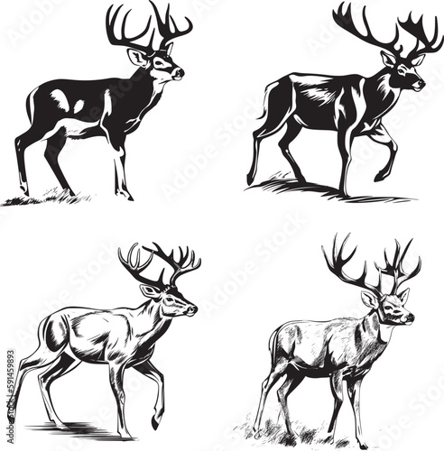 Whitetail Buck, dynamic pose simple graphic, cartoon vector art, sticker, black on white background 