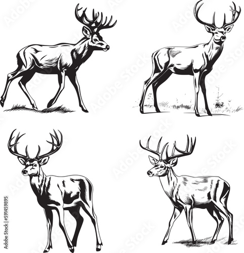 Whitetail Buck, dynamic pose simple graphic, cartoon vector art, sticker, black on white background 