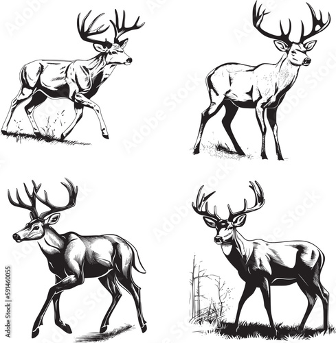 Whitetail Buck, dynamic pose simple graphic, cartoon vector art, sticker, black on white background 