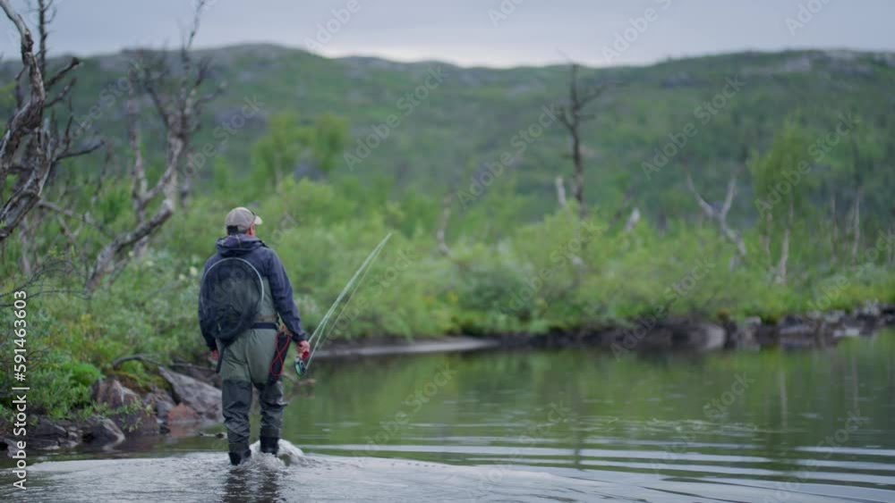 Man walks in water by bushy shore with fishing gear, from behind Man walks in water by bushy shore with fishing gear, from behind
