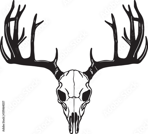 Deer Skull Vector illustration, SVG