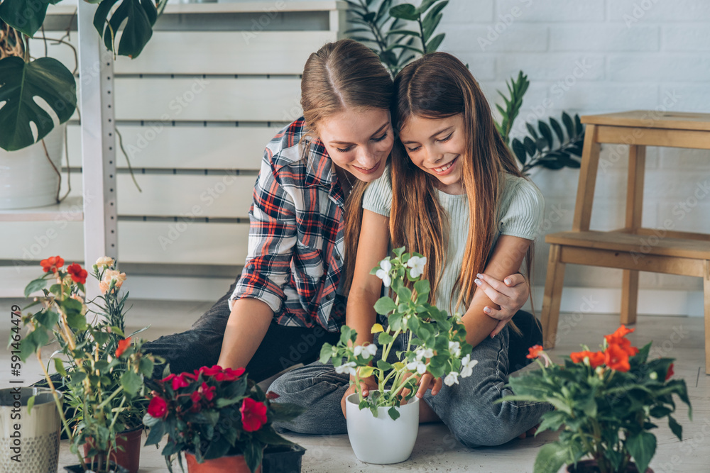Girl and her mother are planting flowers together at their home.
Girl and her mother are planting flowers together at their home.