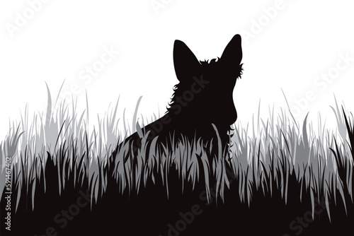 Vector silhouette of dog walking in the grass. © majivecka