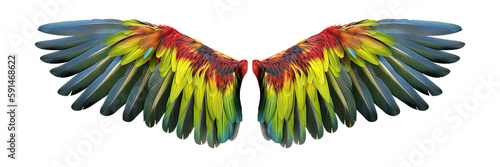 Parrot wings isolated on transparent background - Generative AI photo