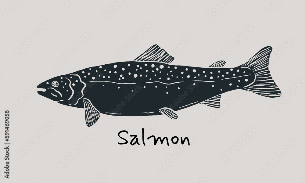 Fototapeta premium Hand drawn salmon fish in sketch style. Simple vector isolated illustration on beige background