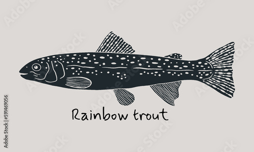 Hand drawn rainbow trout fish in sketch style. Simple vector isolated illustration on beige background