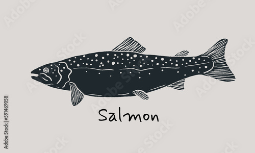 Hand drawn salmon fish in sketch style. Simple vector isolated illustration on beige background