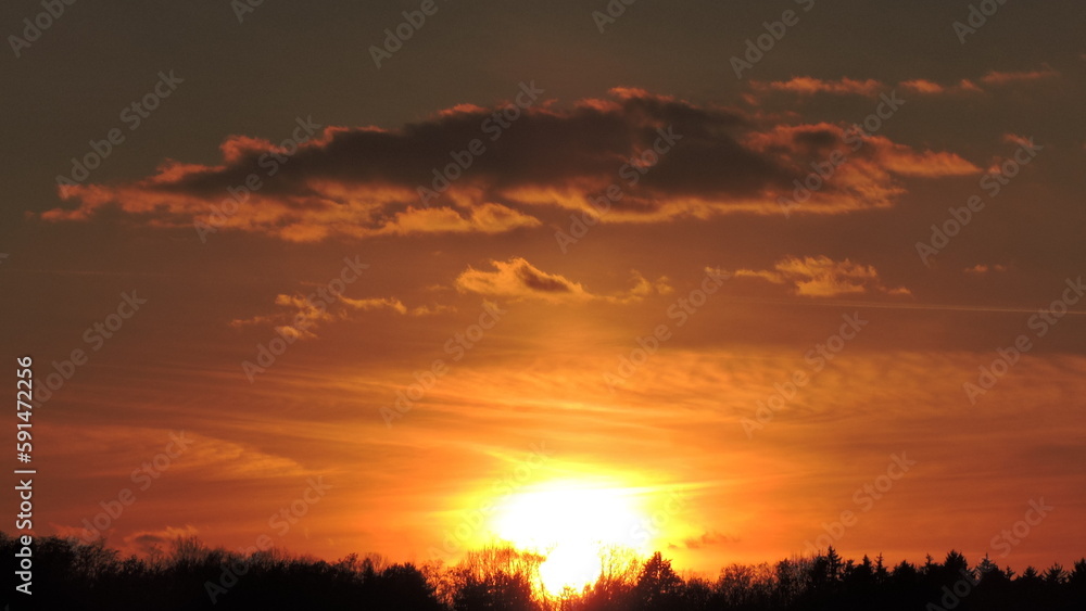 Fototapeta premium sunset over the field