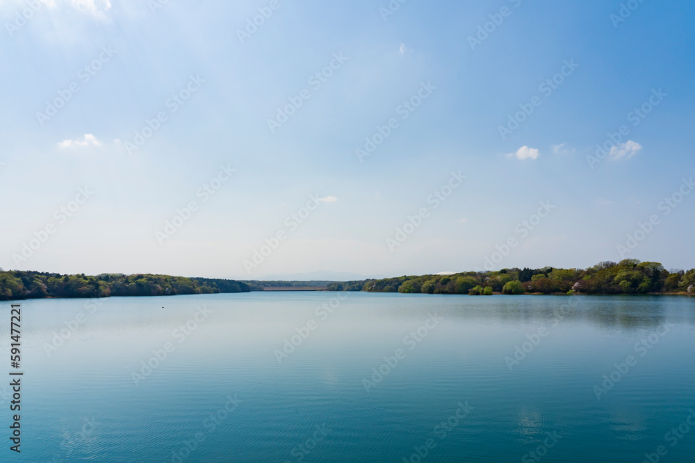春の多摩湖（村山貯水池）